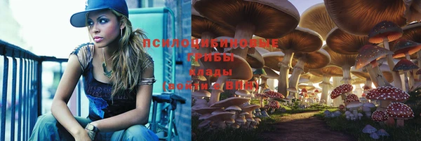 прущая мука Абинск