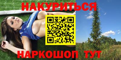 прущие грибы Беслан