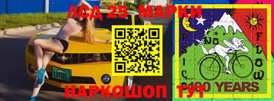 прущие грибы Беслан