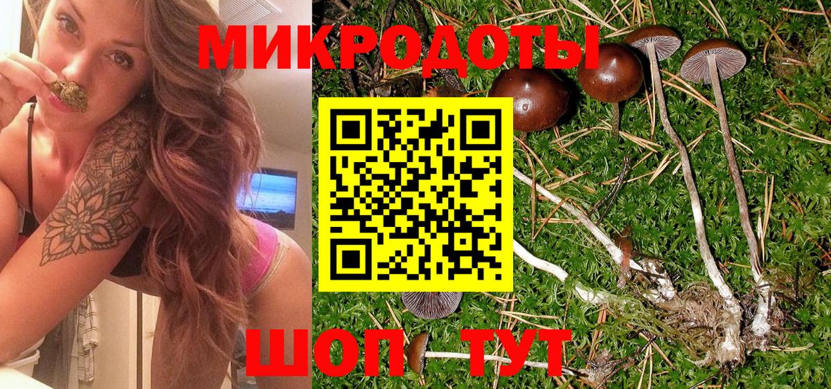 Кизляр  Псилоцибиновые грибы мицелий  Вход с VPN 